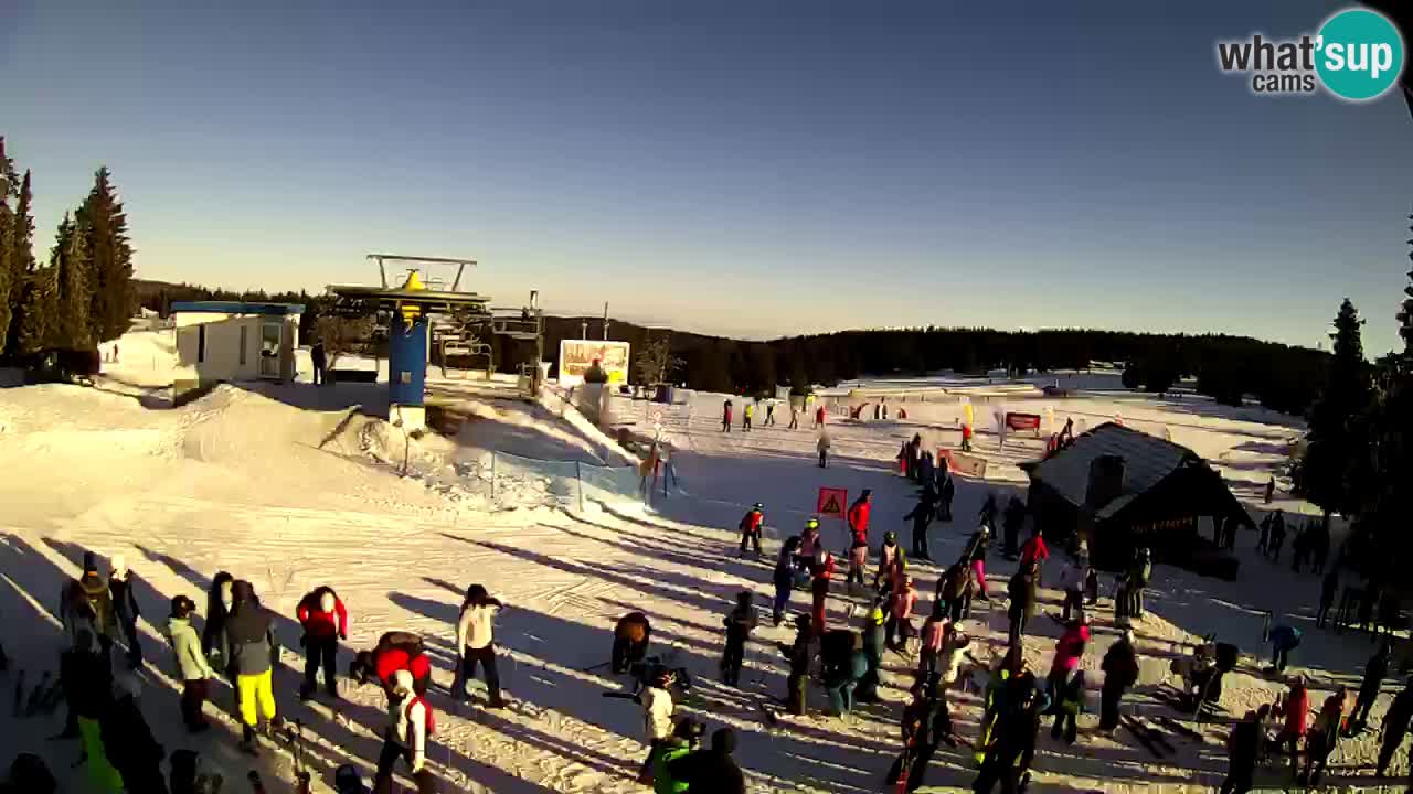 Live Webcam Rogla – Planja – Slovenia Ski resort