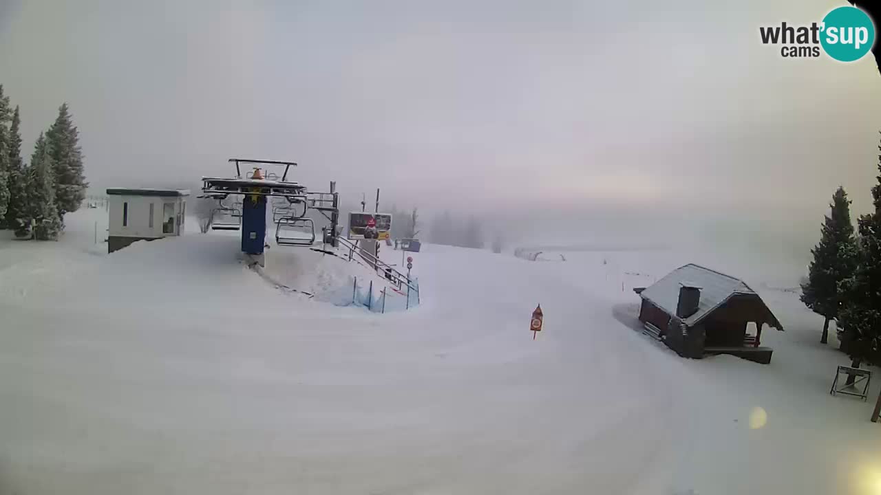 Live Webcam Rogla – Planja – Slovenia Ski resort