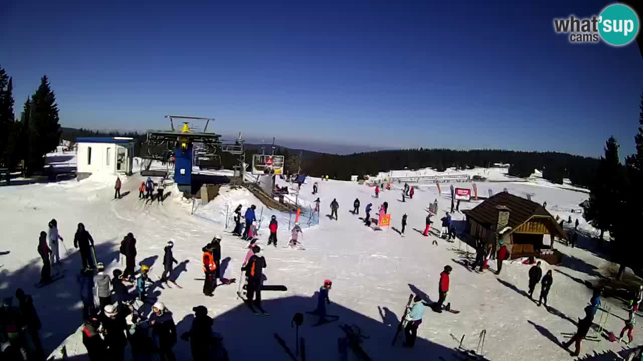 Live Webcam Rogla – Planja – Slovenia Ski resort