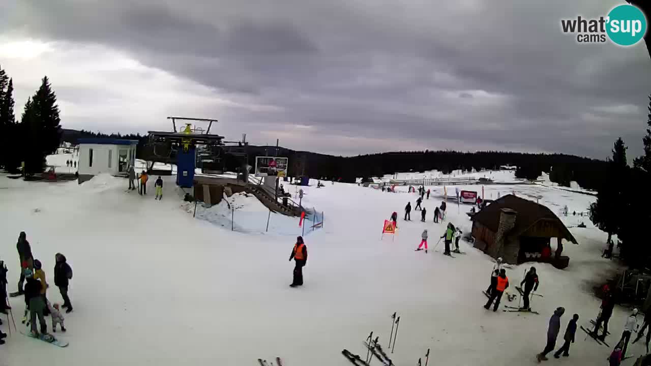 Live Webcam Rogla – Planja – Slovenia Ski resort