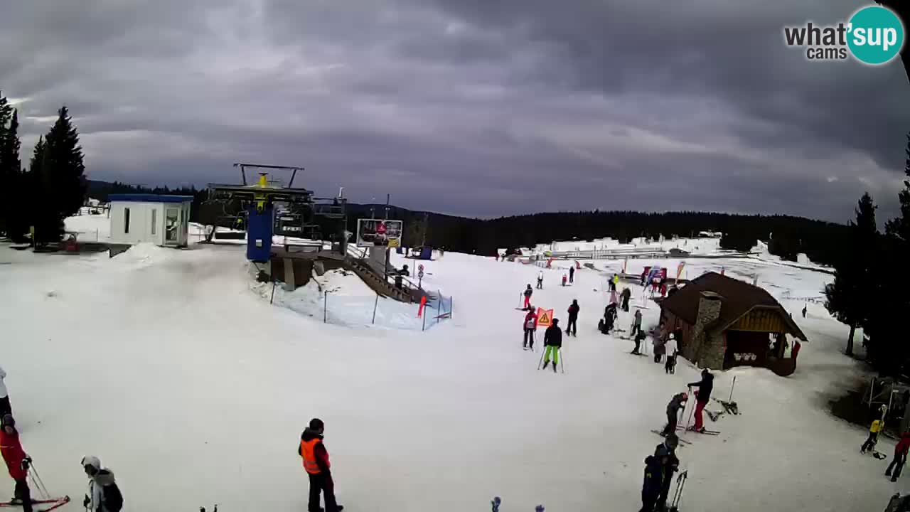 Live Webcam Rogla – Planja – Slovenia Ski resort