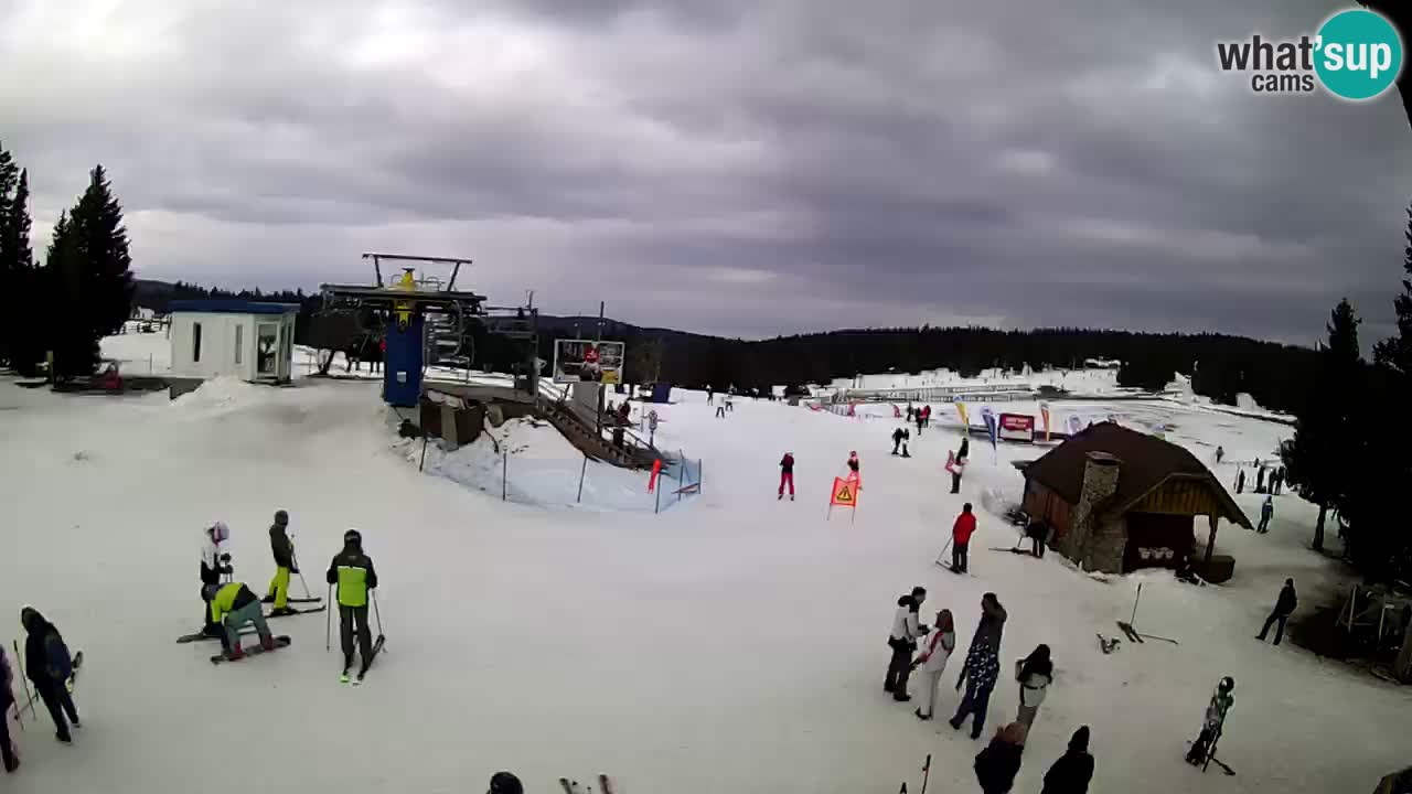 Live Webcam Rogla – Planja – Slovenia Ski resort