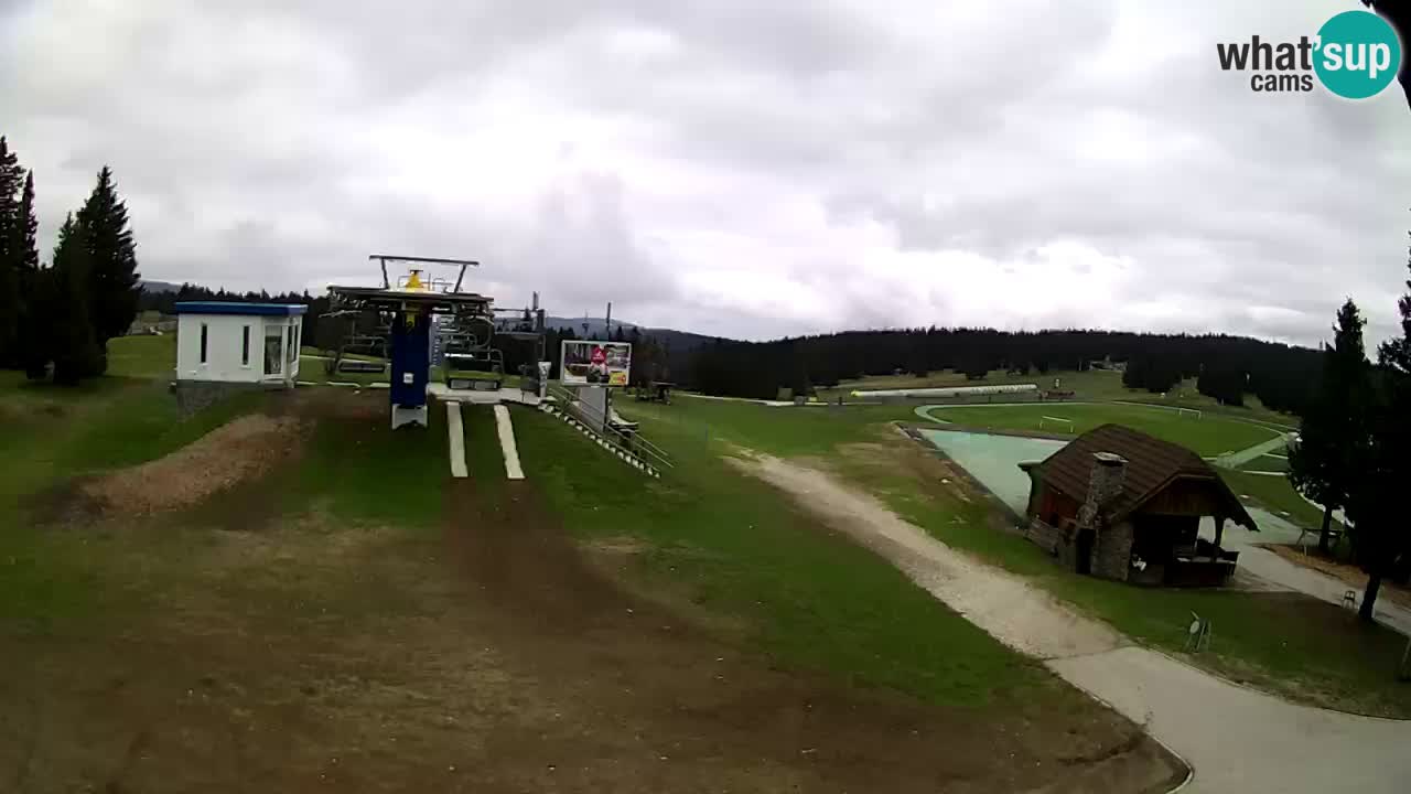 Live Webcam Rogla – Planja – Slovenia Ski resort