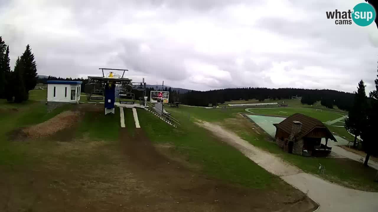 Live Webcam Rogla – Planja – Slovenia Ski resort