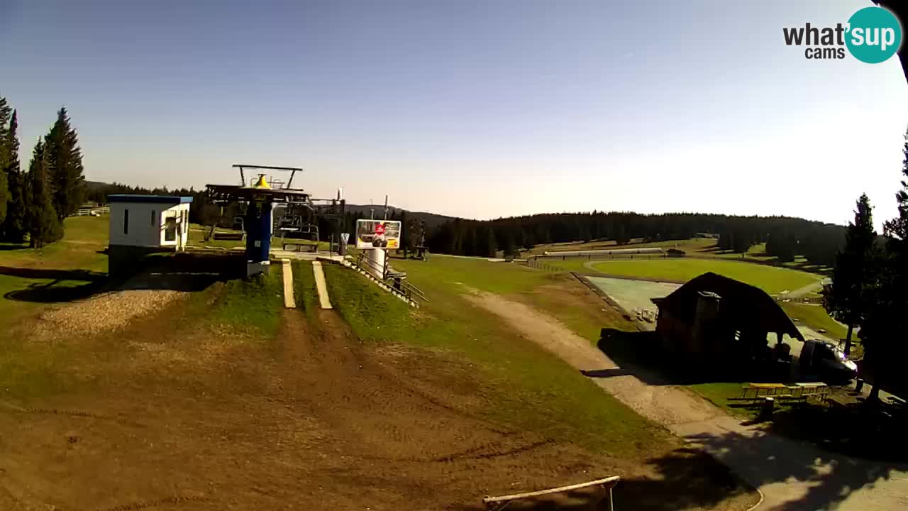 Live Webcam Rogla – Planja – Slovenia Ski resort
