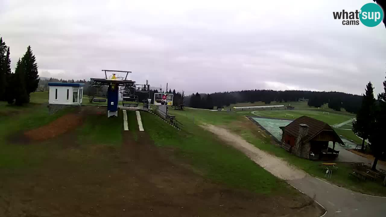 Live Webcam Rogla – Planja – Slovenia Ski resort