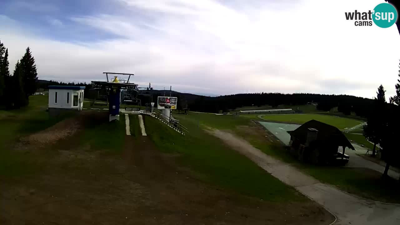 Rogla – Planja