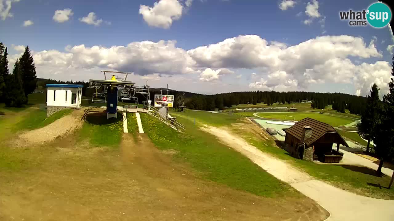 Rogla – Planja