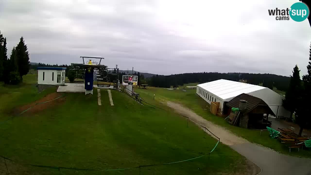 Live Webcam Rogla – Planja – Slovenia Ski resort