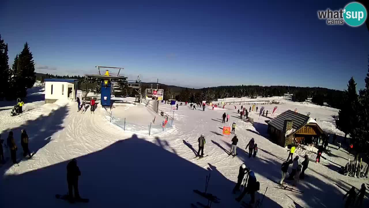 Live Webcam Rogla – Planja – Slovenia Ski resort