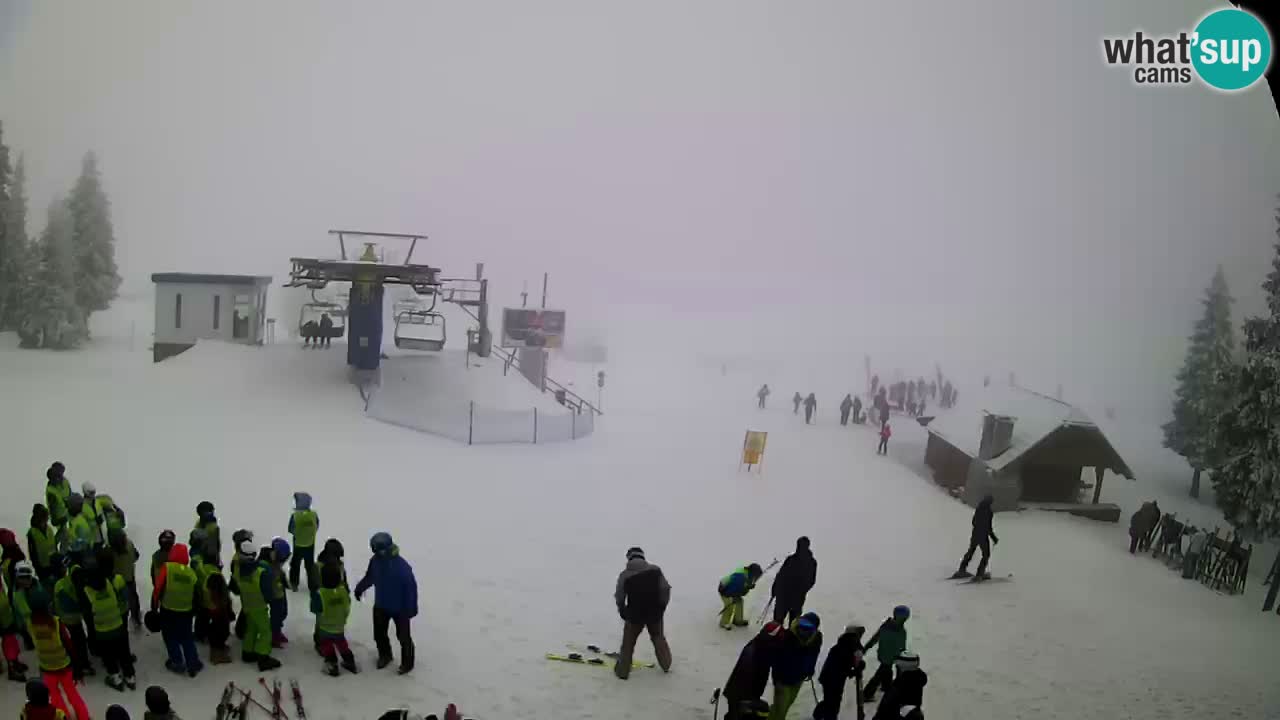 Live Webcam Rogla – Planja – Slovenia Ski resort