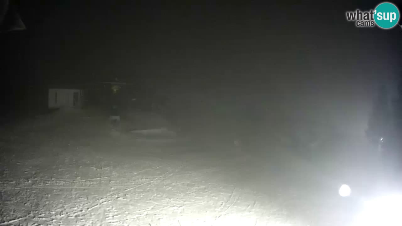 Live Webcam Rogla – Planja – Slovenia Ski resort