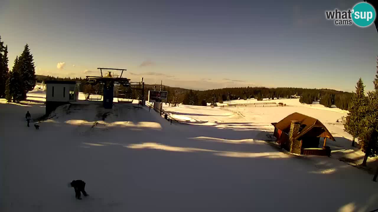 Live Webcam Rogla – Planja – Slovenia Ski resort