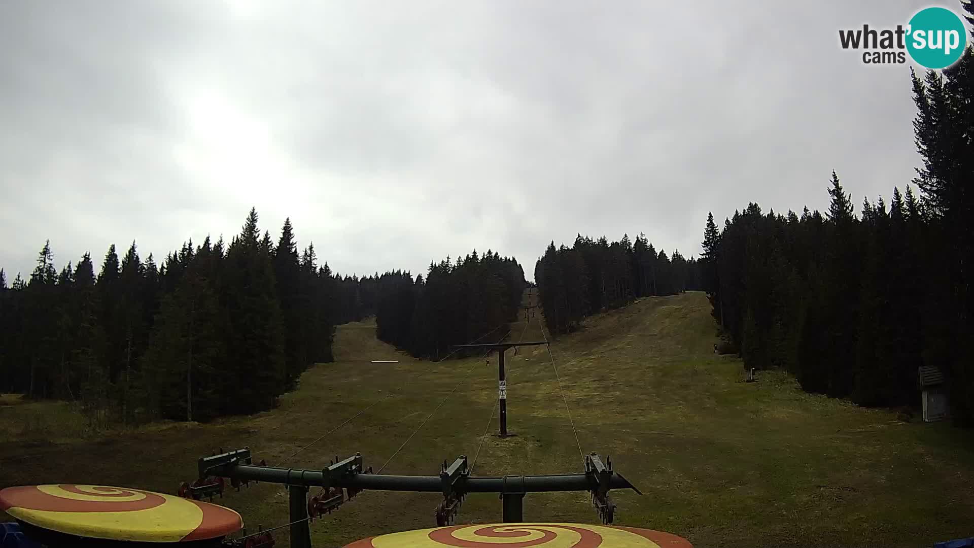 Comprensorio sciistico Rogla Webcam live Ostruščica piste 1 e 2