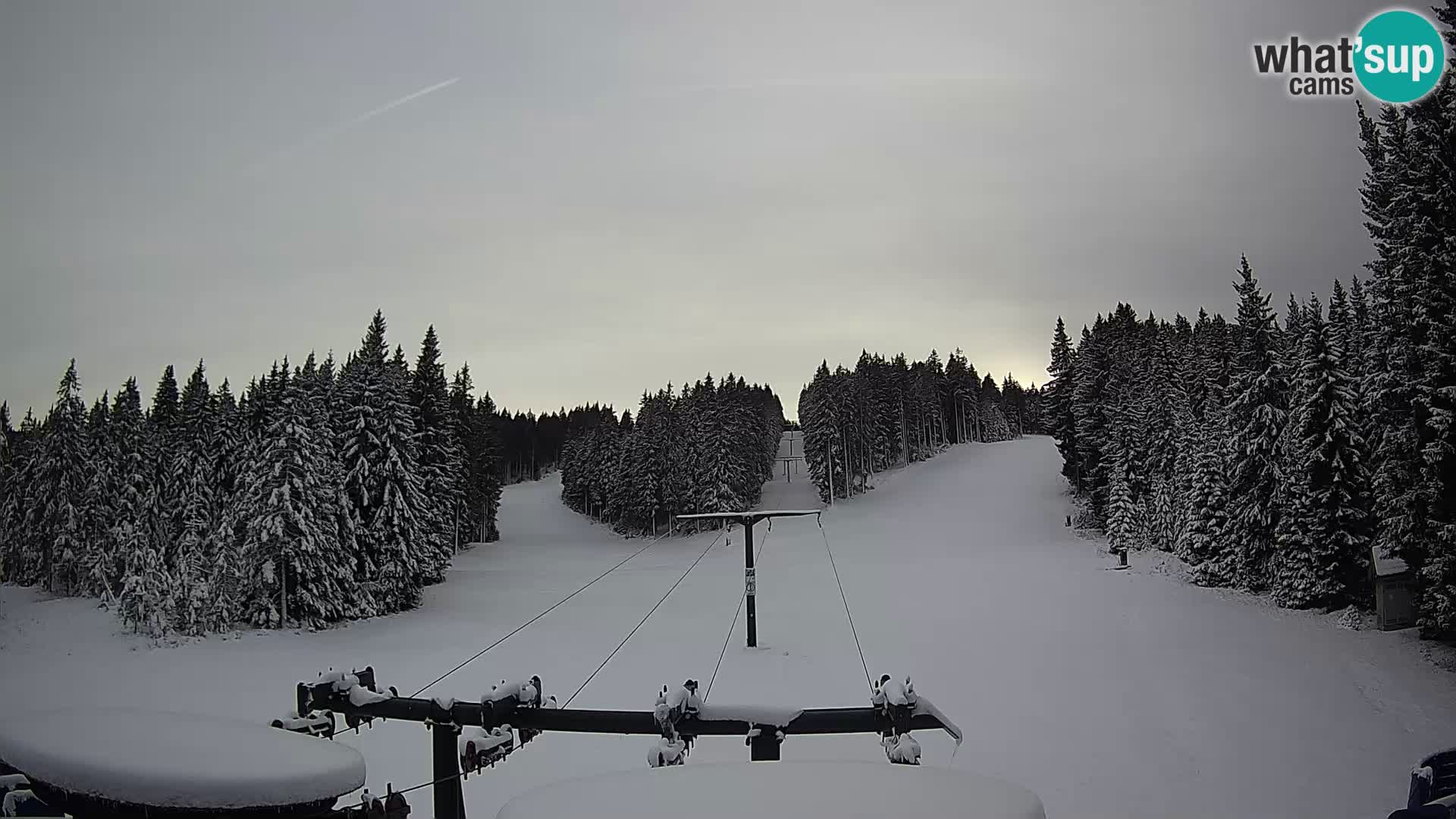 Skigebiet Rogla Webcam Ostruščica Piste 1 und 2