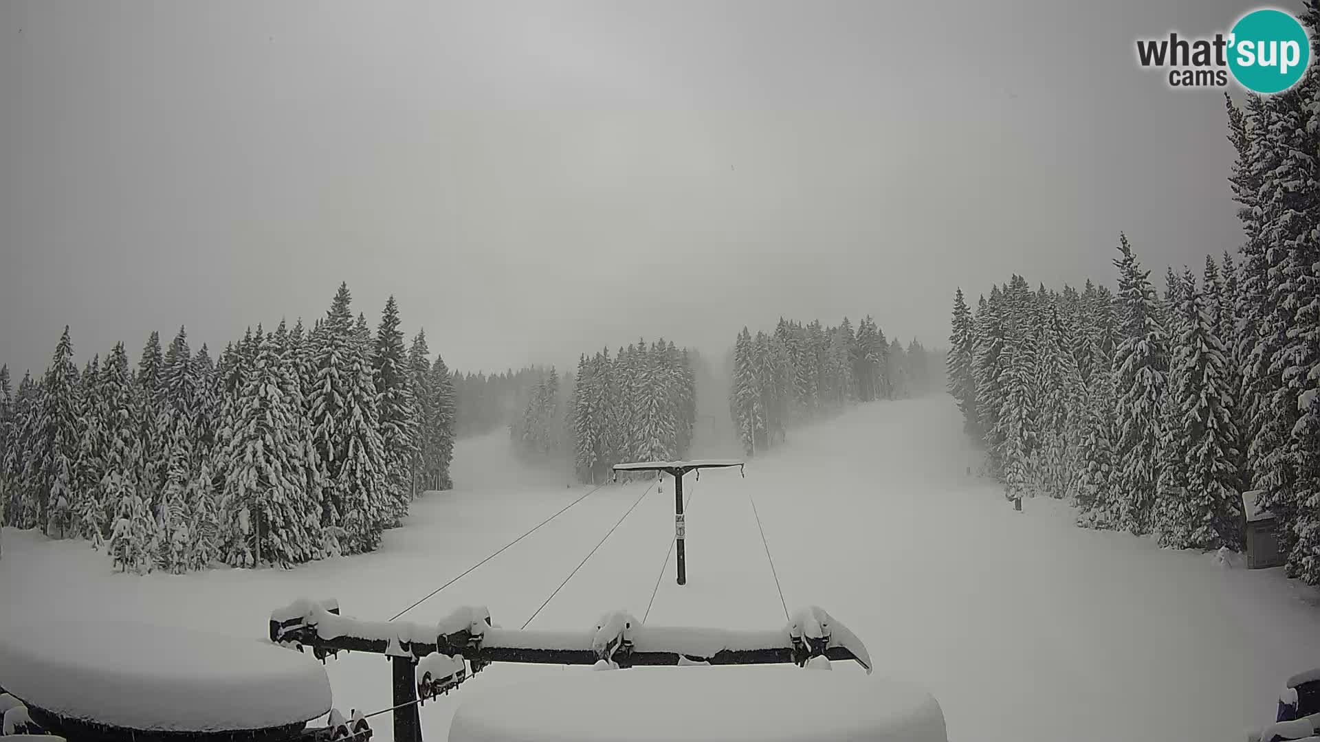 Skigebiet Rogla Webcam Ostruščica Piste 1 und 2