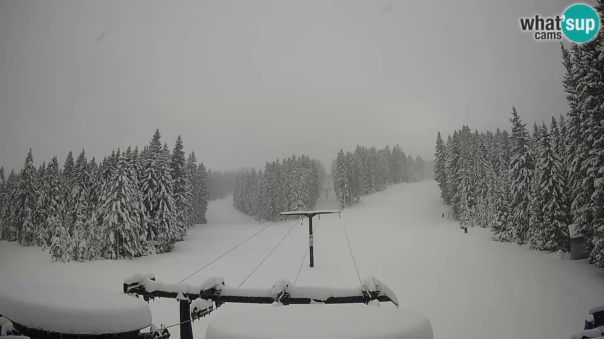 Estación de esquí Rogla Webcam Ostruščica pistas 1 y 2