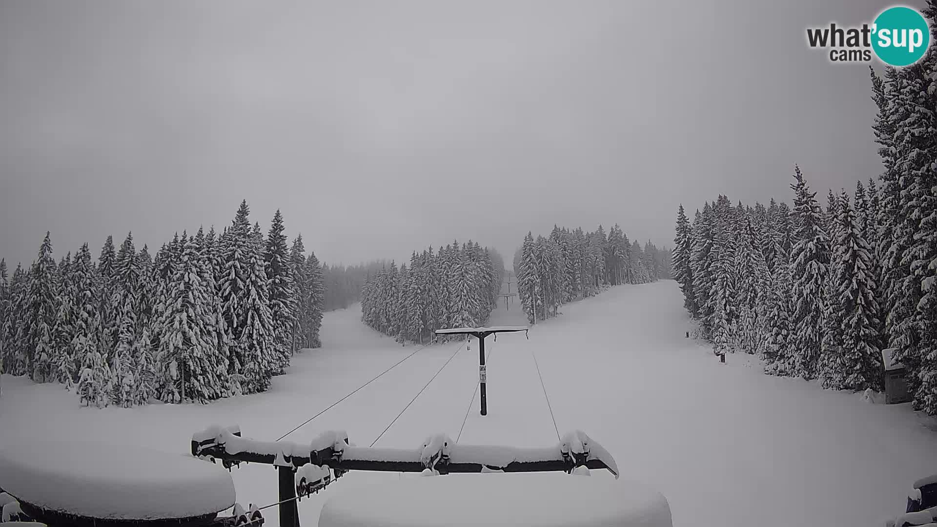 Estación de esquí Rogla Webcam Ostruščica pistas 1 y 2