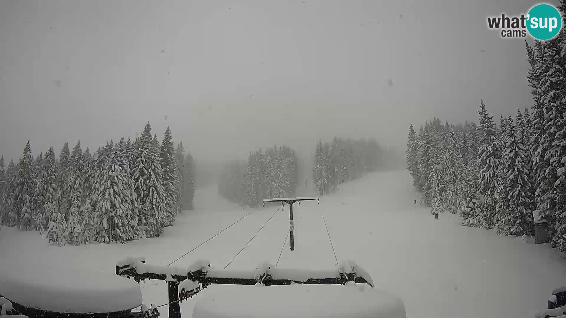 Estación de esquí Rogla Webcam Ostruščica pistas 1 y 2