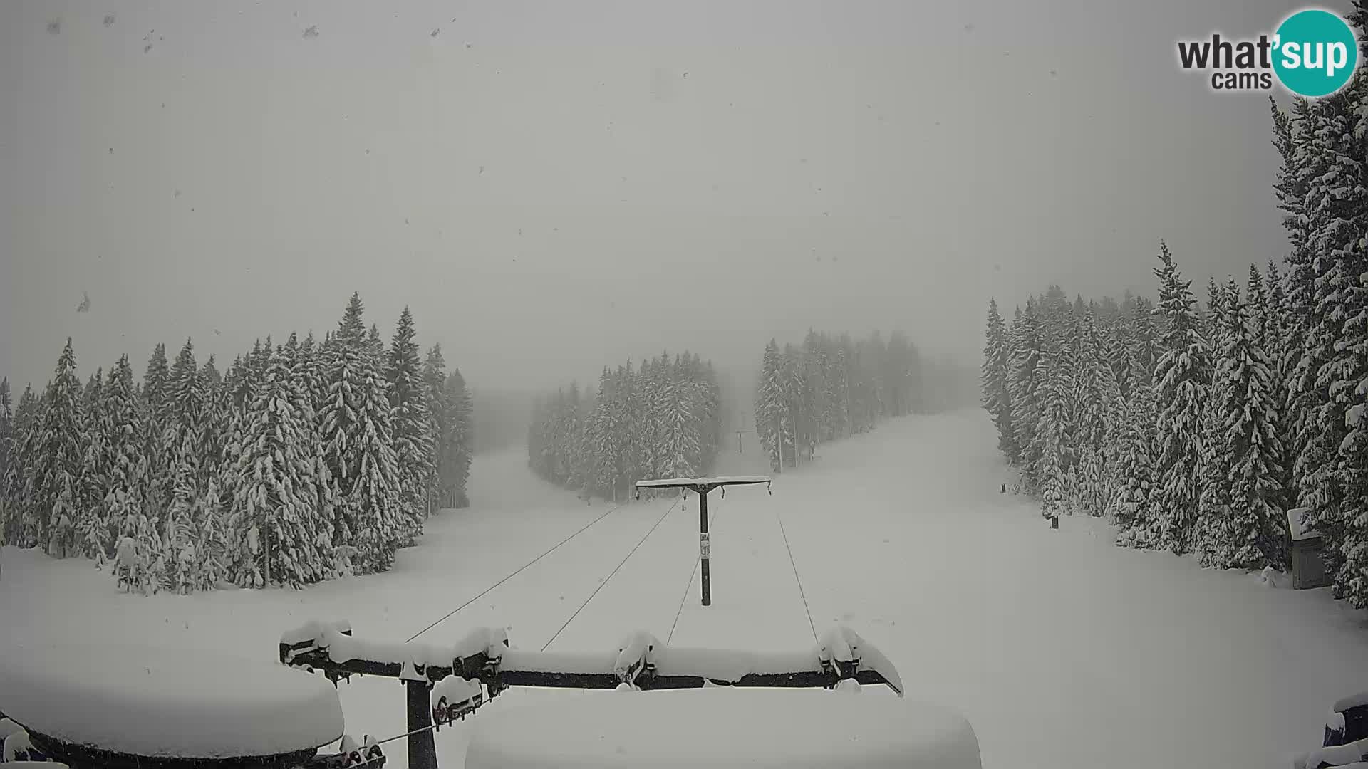 Skigebiet Rogla Webcam Ostruščica Piste 1 und 2