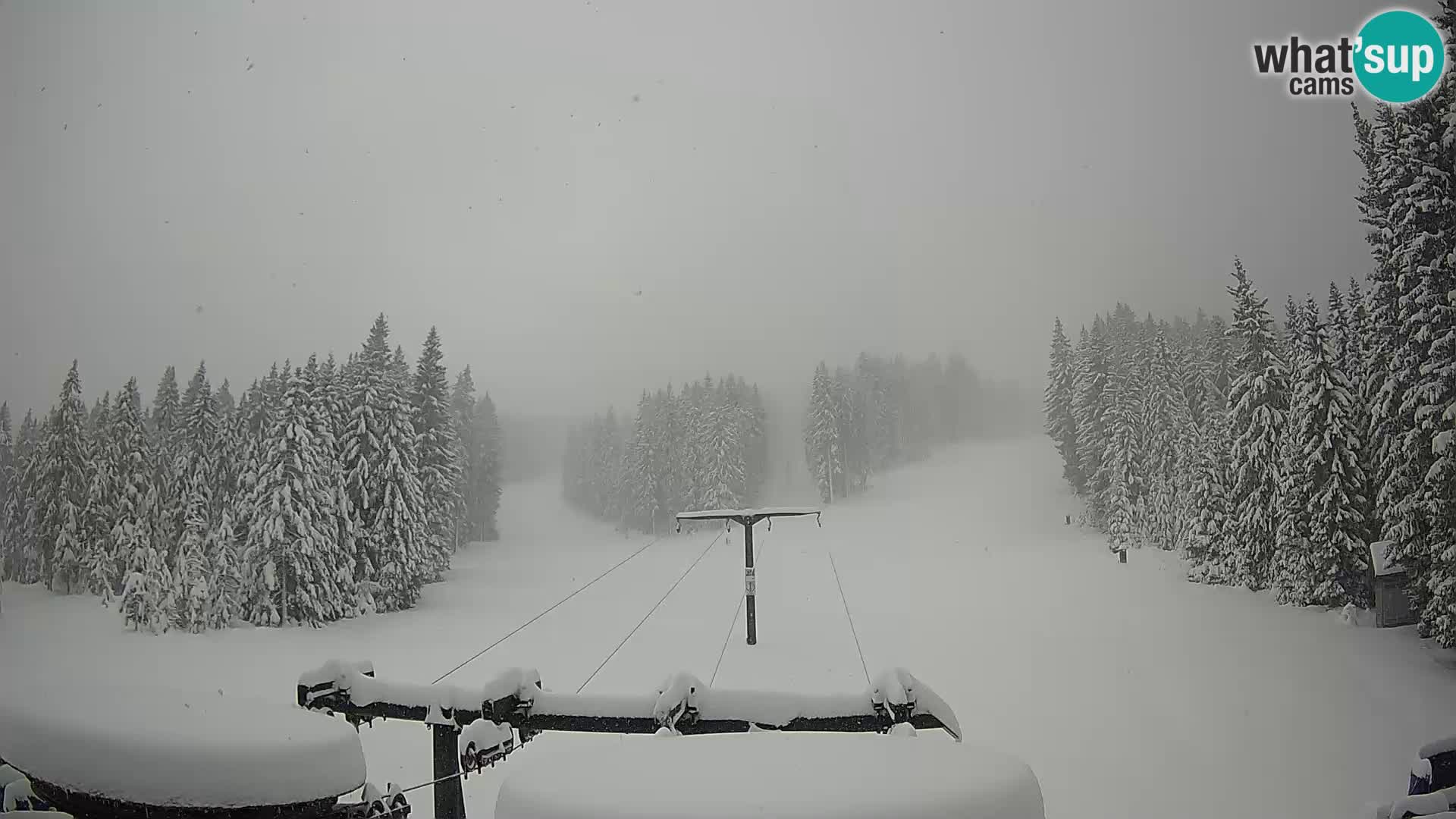 Estación de esquí Rogla Webcam Ostruščica pistas 1 y 2