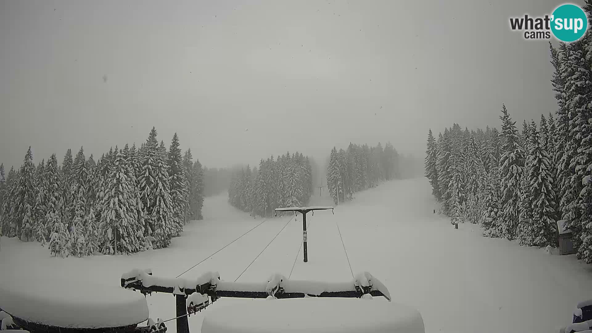 Estación de esquí Rogla Webcam Ostruščica pistas 1 y 2