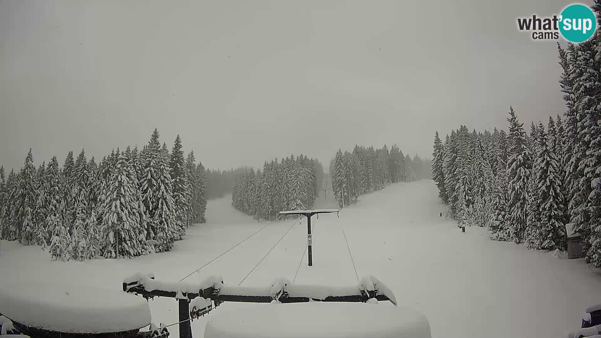 Estación de esquí Rogla Webcam Ostruščica pistas 1 y 2