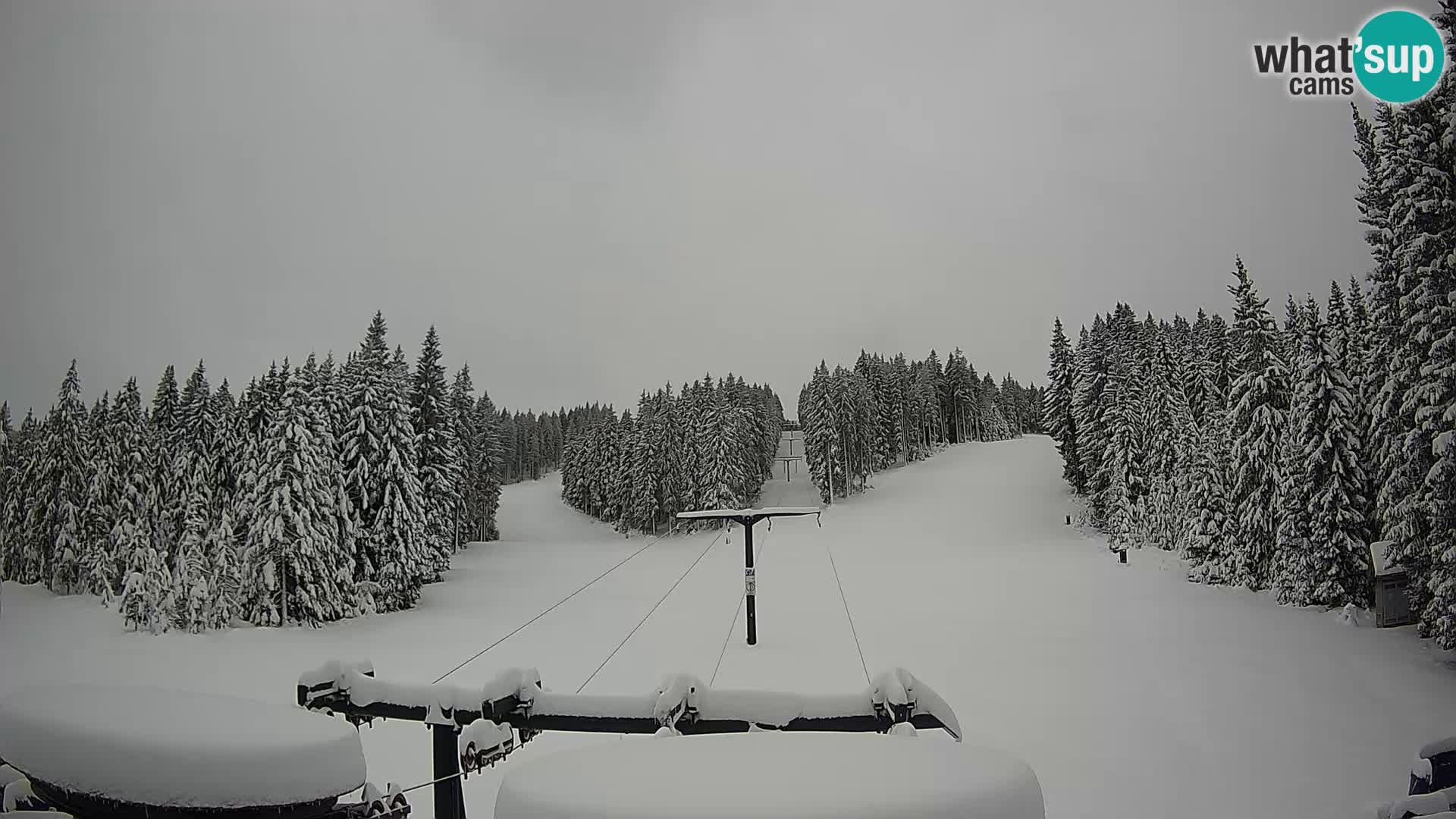 Estación de esquí Rogla Webcam Ostruščica pistas 1 y 2