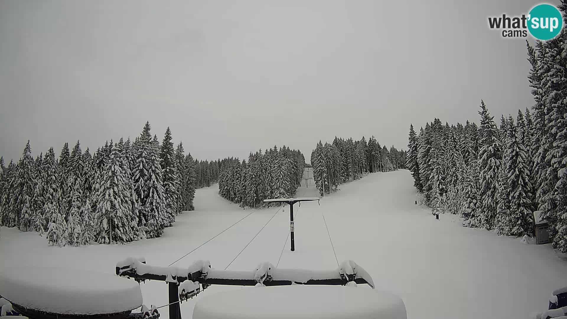 Estación de esquí Rogla Webcam Ostruščica pistas 1 y 2