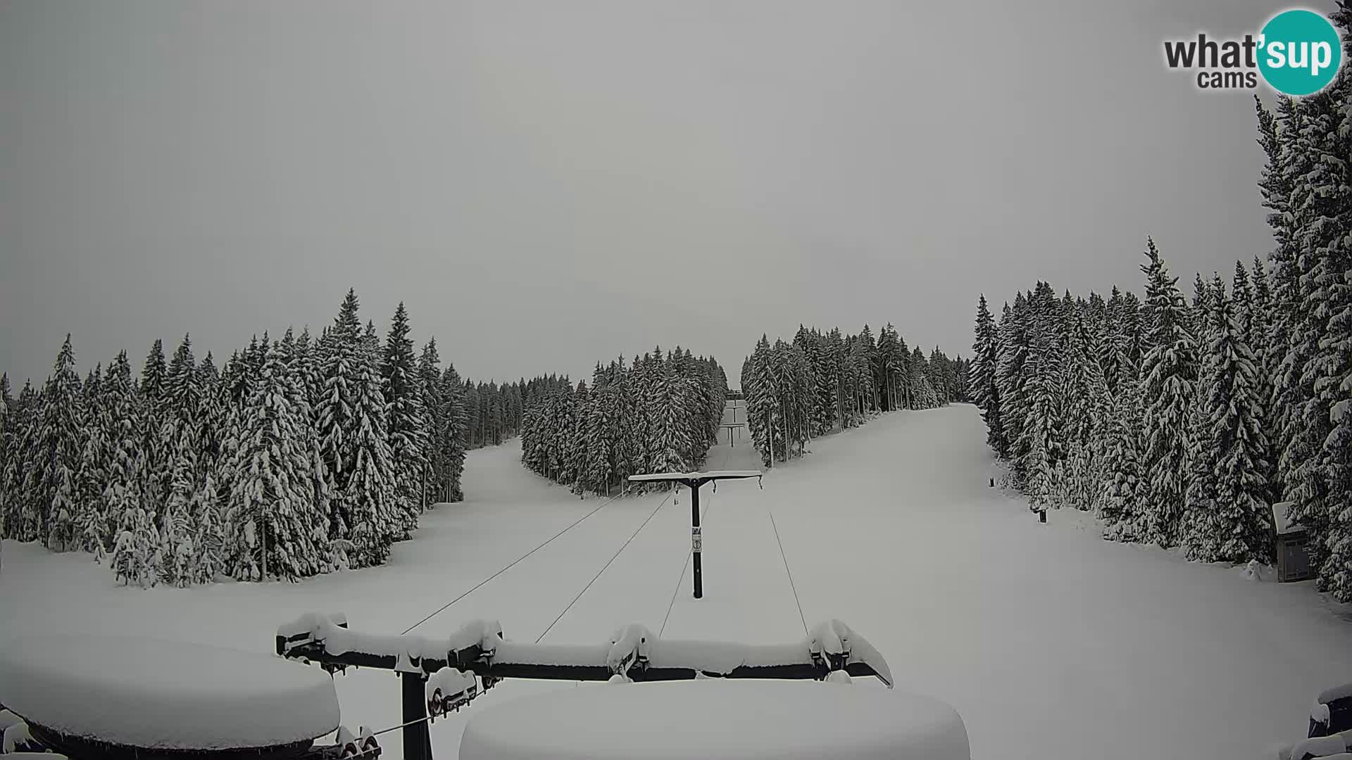 Skigebiet Rogla Webcam Ostruščica Piste 1 und 2