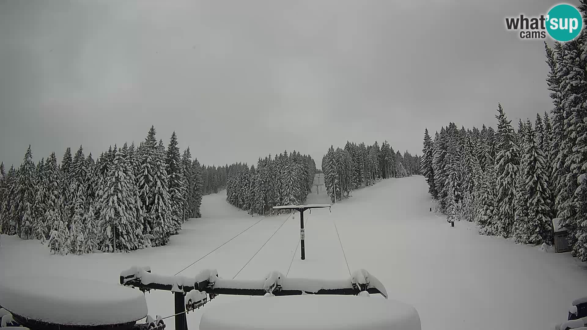 Skigebiet Rogla Webcam Ostruščica Piste 1 und 2