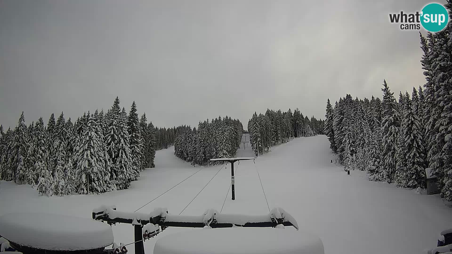 Skigebiet Rogla Webcam Ostruščica Piste 1 und 2