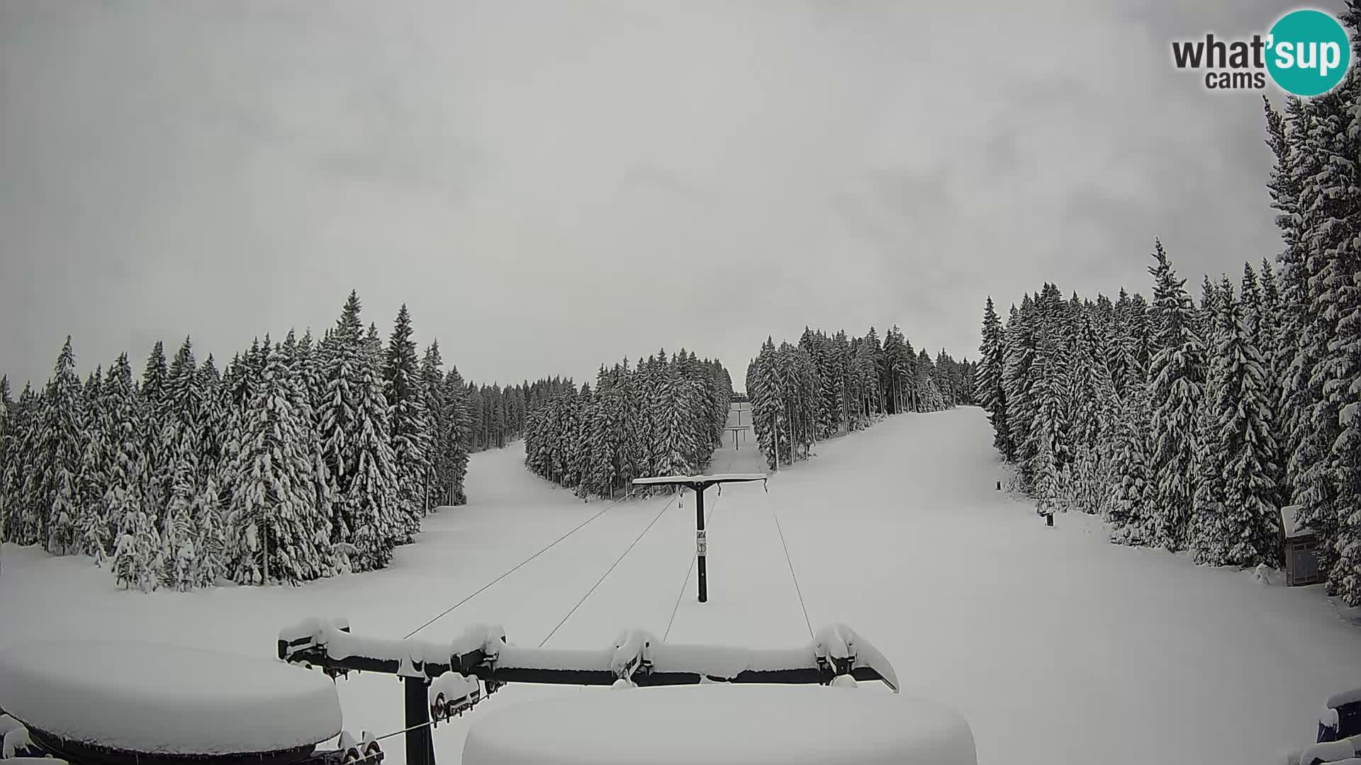 Comprensorio sciistico Rogla Webcam live Ostruščica piste 1 e 2