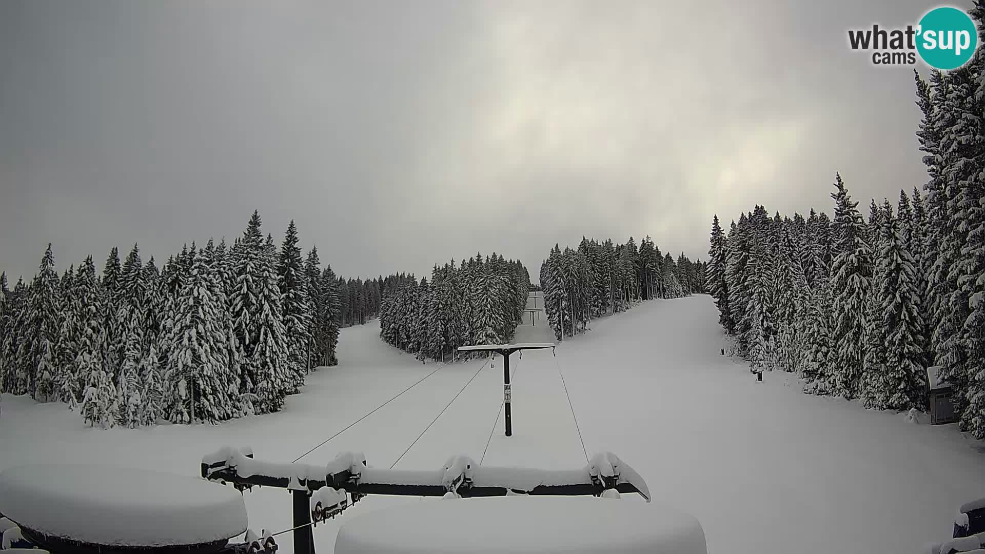 Skigebiet Rogla Webcam Ostruščica Piste 1 und 2