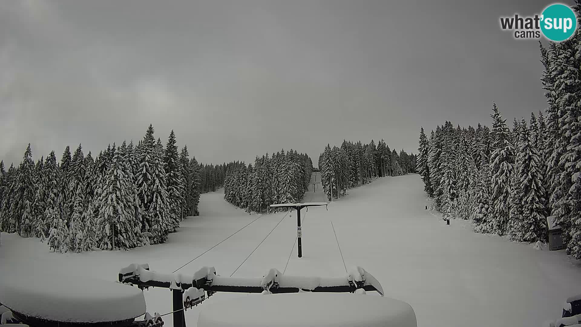 Comprensorio sciistico Rogla Webcam live Ostruščica piste 1 e 2