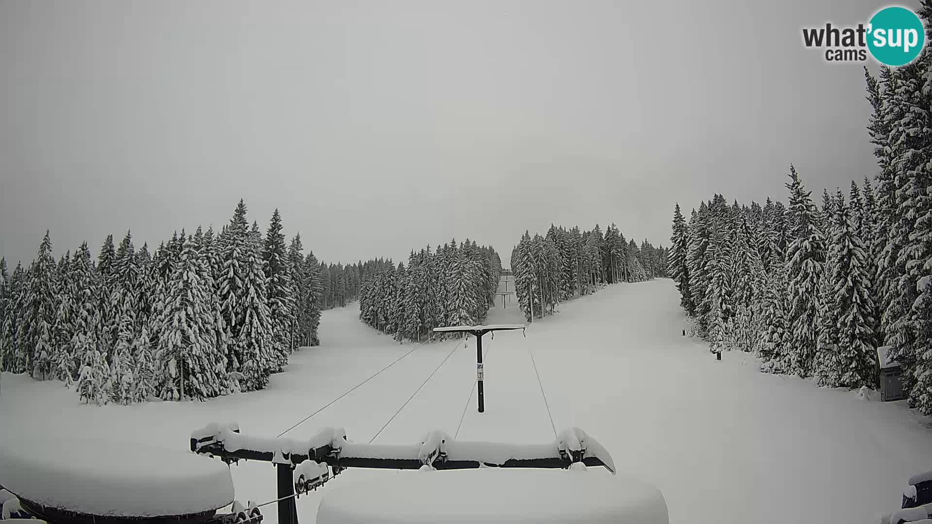 Skigebiet Rogla Webcam Ostruščica Piste 1 und 2