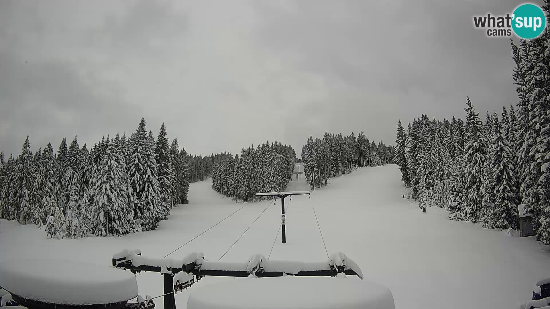 Estación de esquí Rogla Webcam Ostruščica pistas 1 y 2