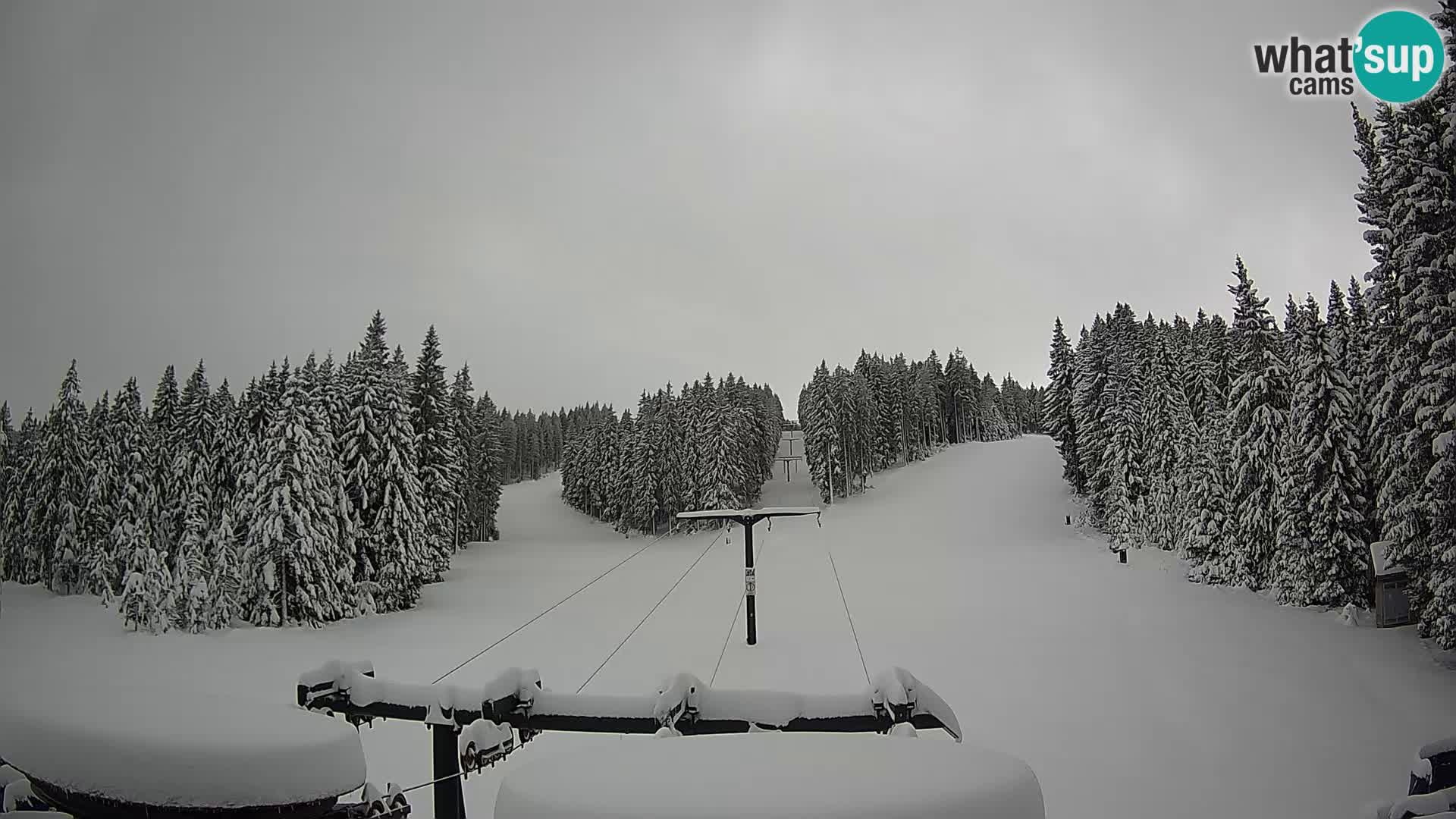 Estación de esquí Rogla Webcam Ostruščica pistas 1 y 2