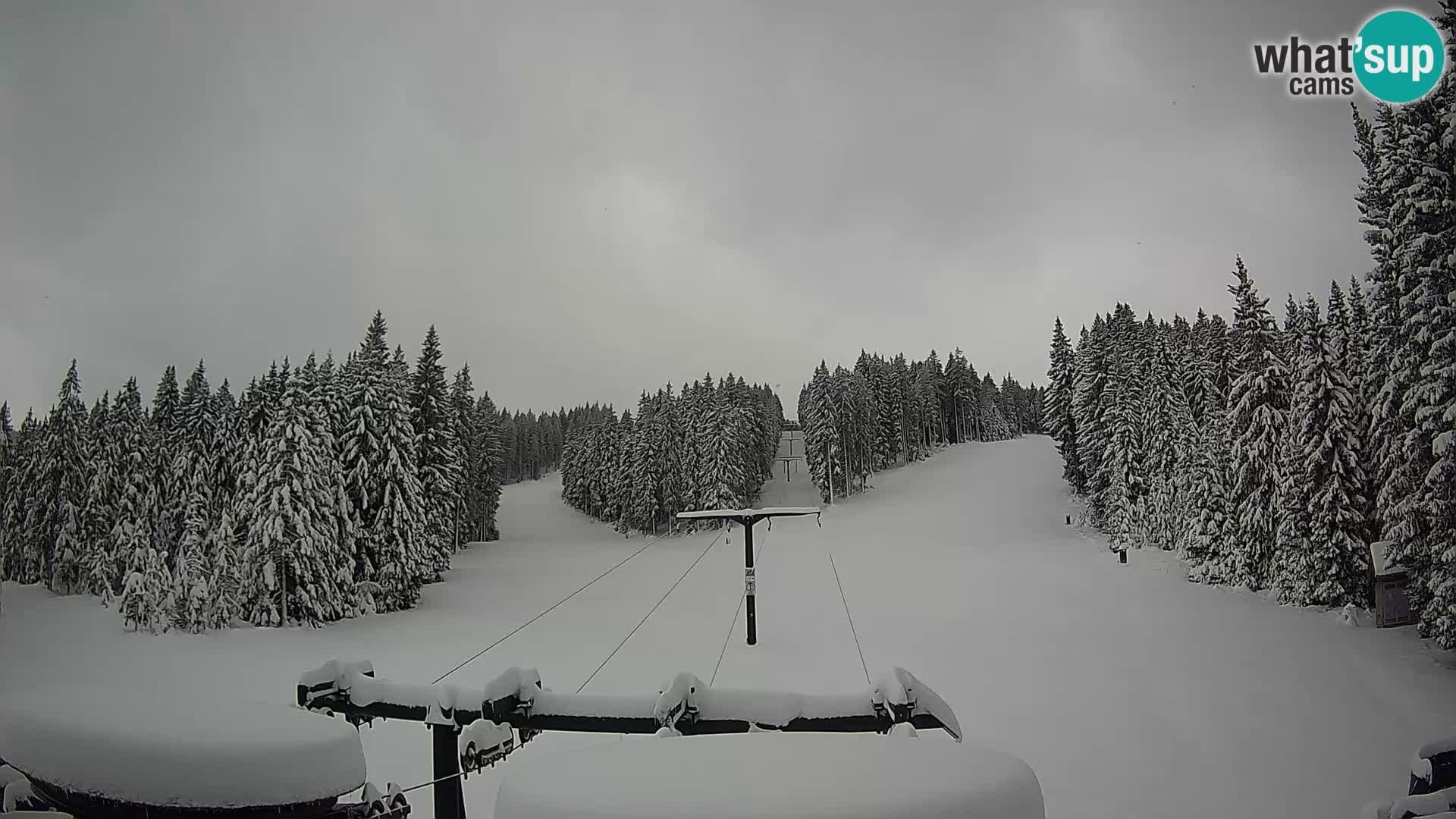 Comprensorio sciistico Rogla Webcam live Ostruščica piste 1 e 2