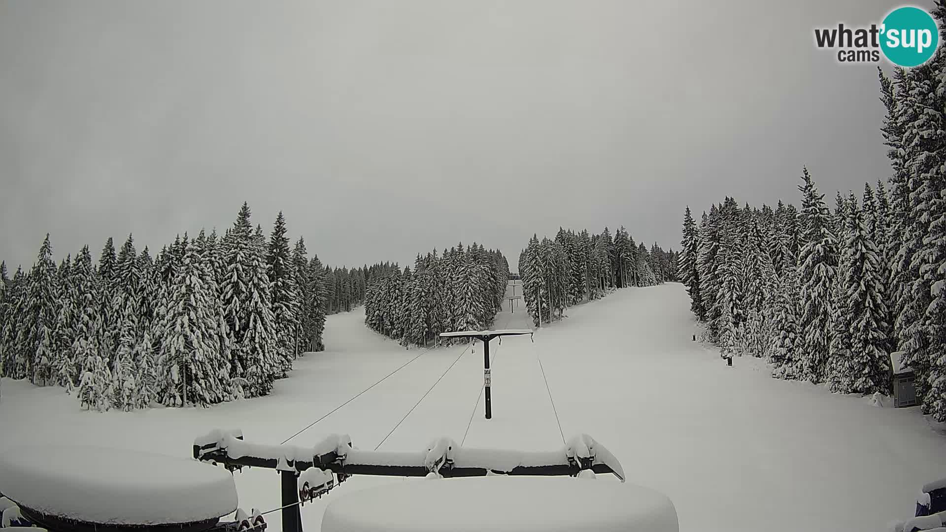 Comprensorio sciistico Rogla Webcam live Ostruščica piste 1 e 2