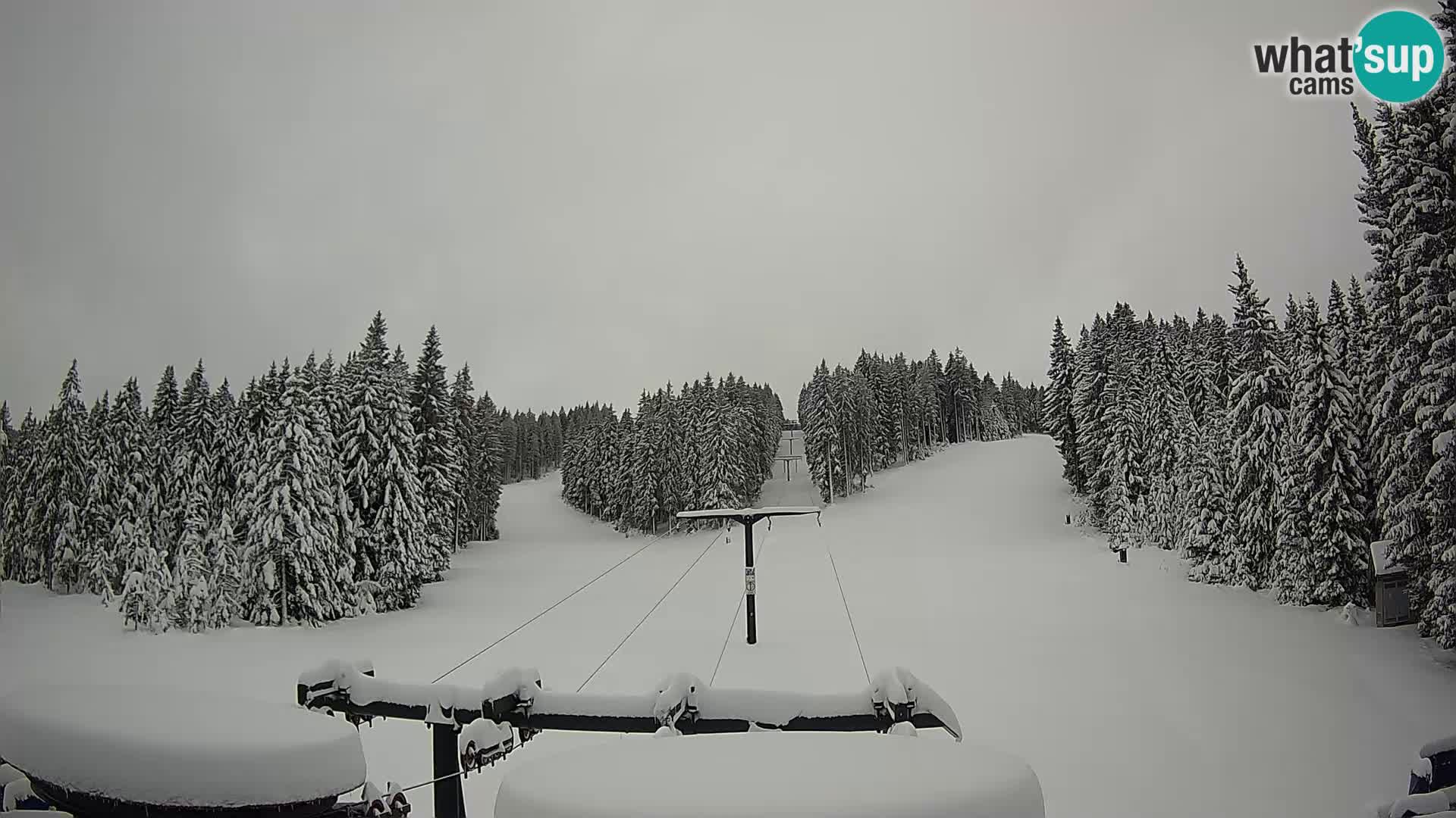 Estación de esquí Rogla Webcam Ostruščica pistas 1 y 2