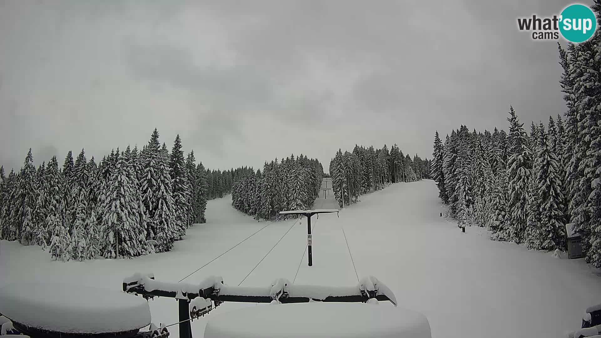 Skigebiet Rogla Webcam Ostruščica Piste 1 und 2