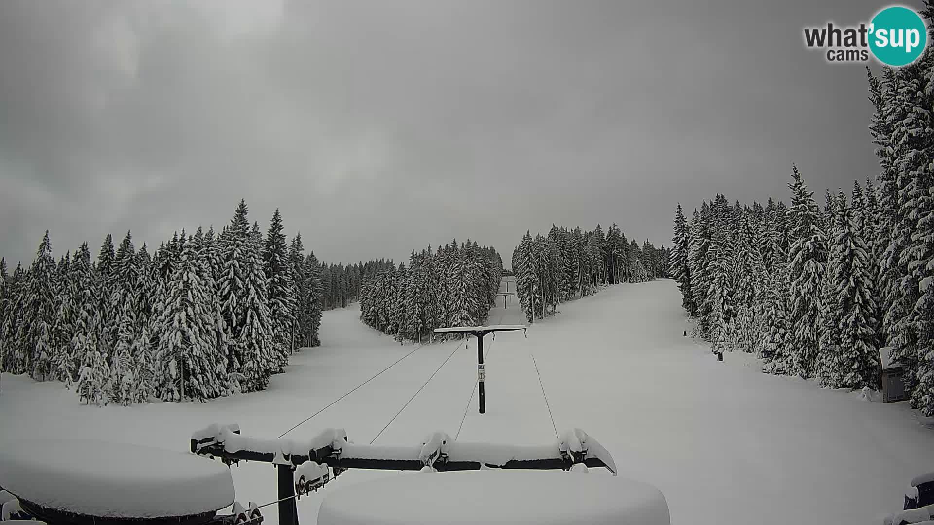 Estación de esquí Rogla Webcam Ostruščica pistas 1 y 2