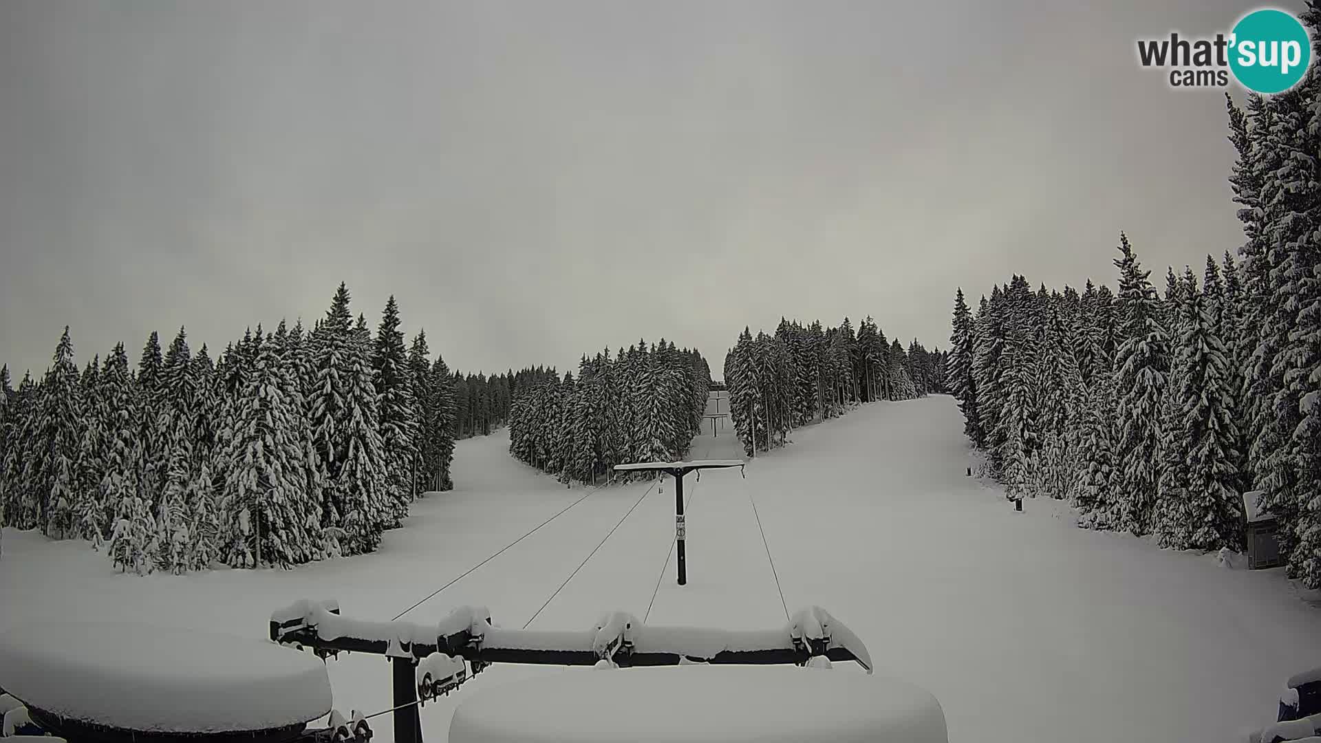 Estación de esquí Rogla Webcam Ostruščica pistas 1 y 2