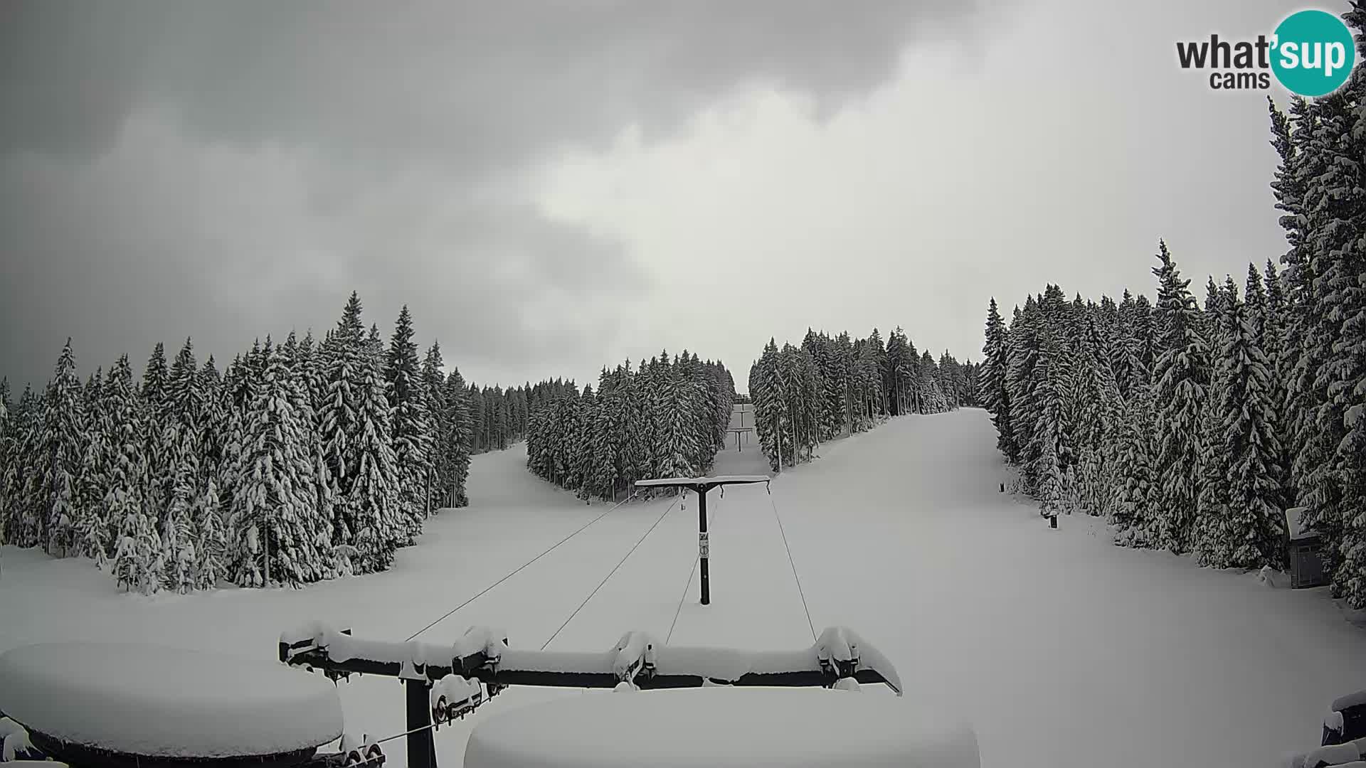 Estación de esquí Rogla Webcam Ostruščica pistas 1 y 2