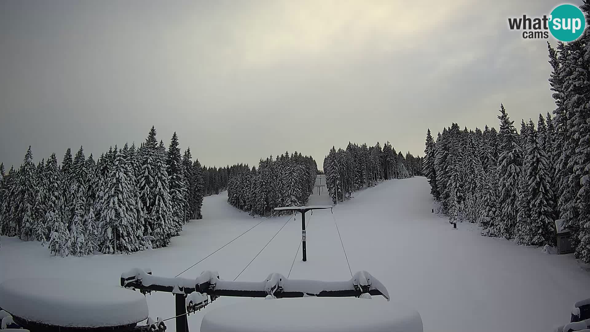 Estación de esquí Rogla Webcam Ostruščica pistas 1 y 2