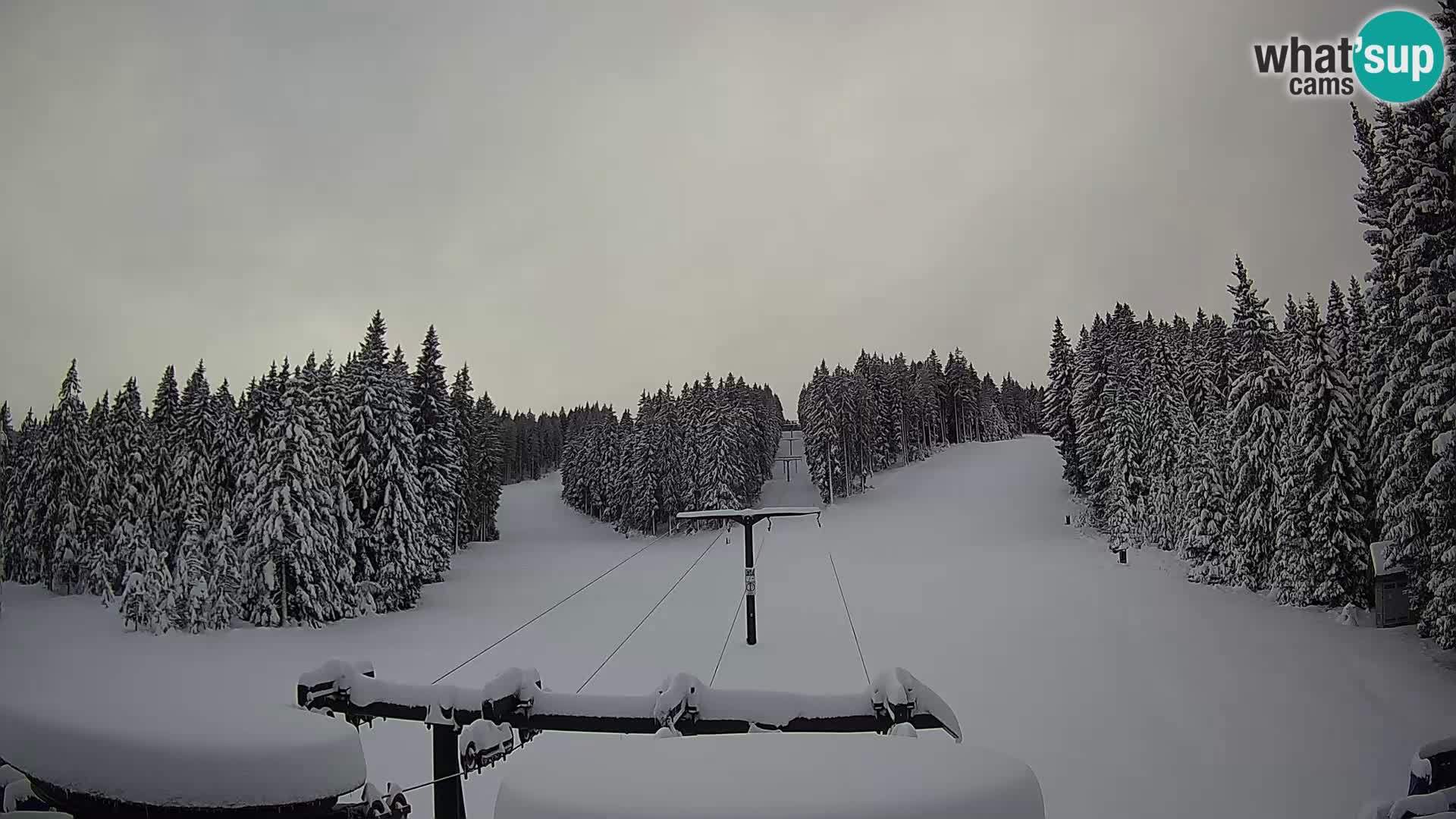 Estación de esquí Rogla Webcam Ostruščica pistas 1 y 2