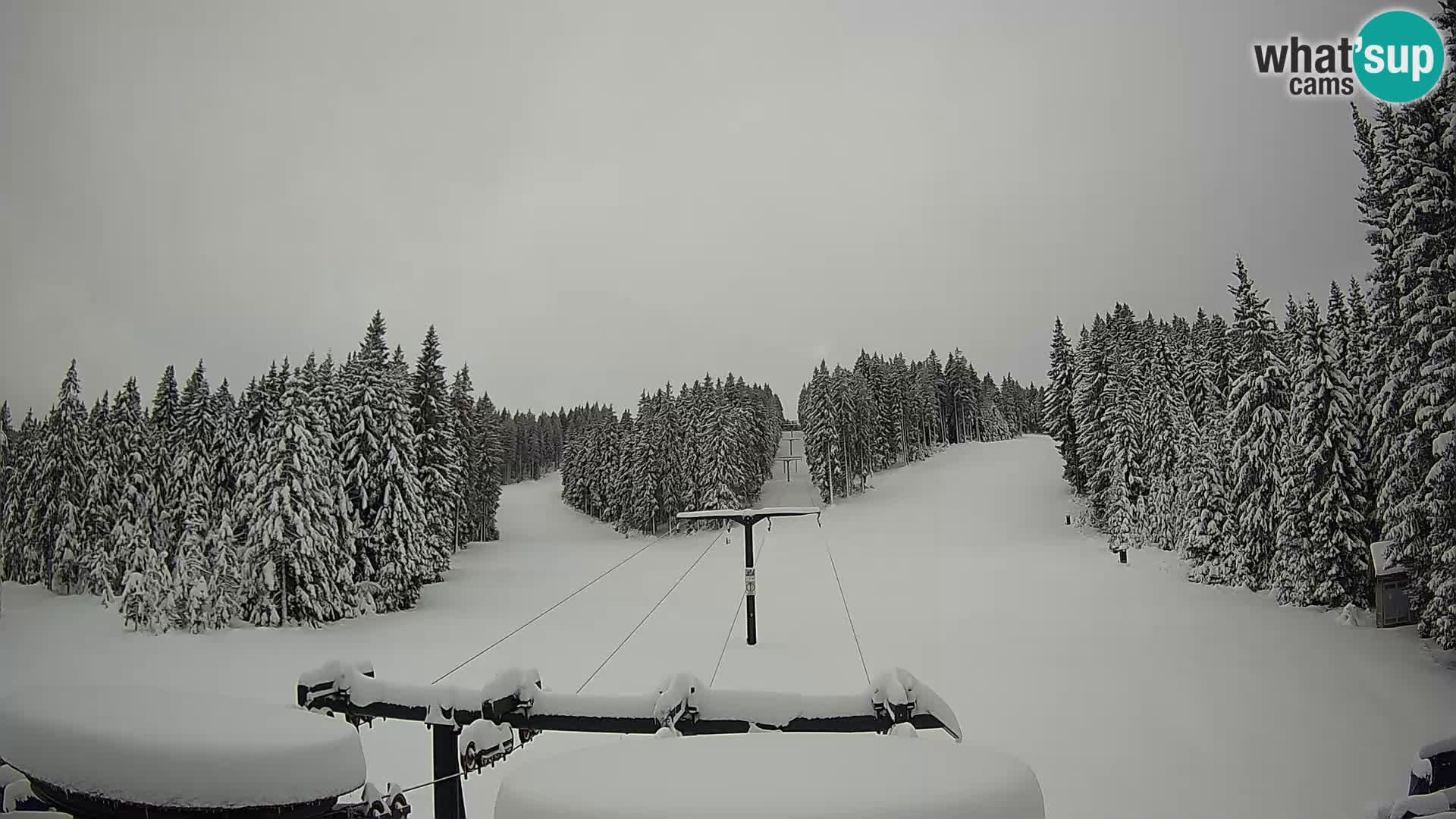 Skigebiet Rogla Webcam Ostruščica Piste 1 und 2