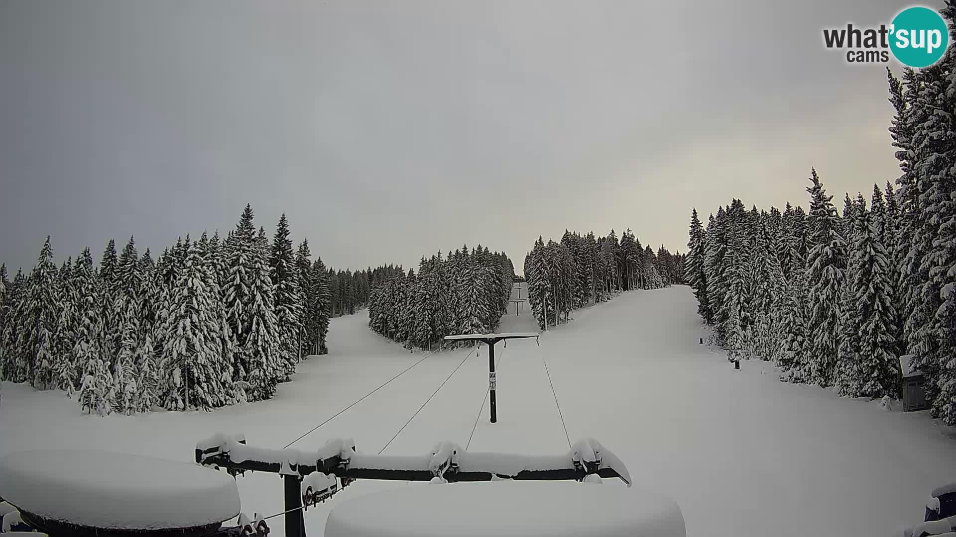 Comprensorio sciistico Rogla Webcam live Ostruščica piste 1 e 2