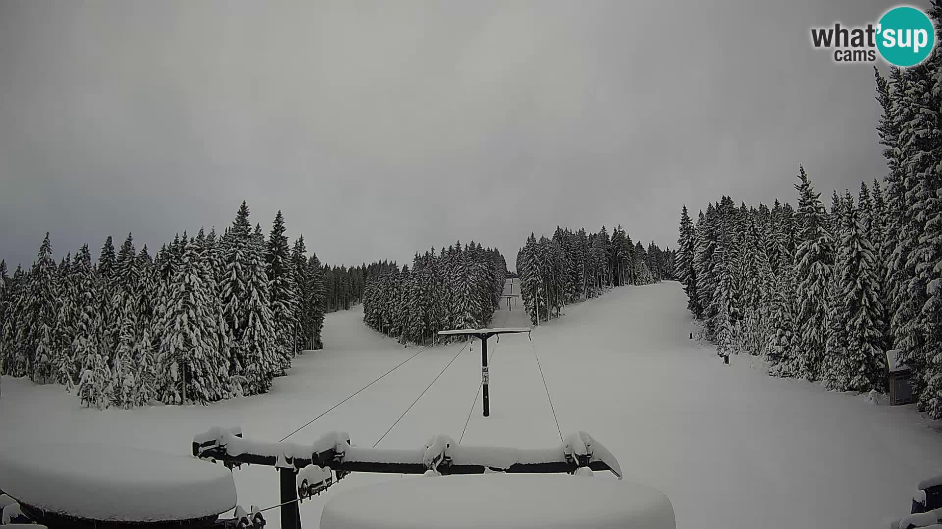 Comprensorio sciistico Rogla Webcam live Ostruščica piste 1 e 2